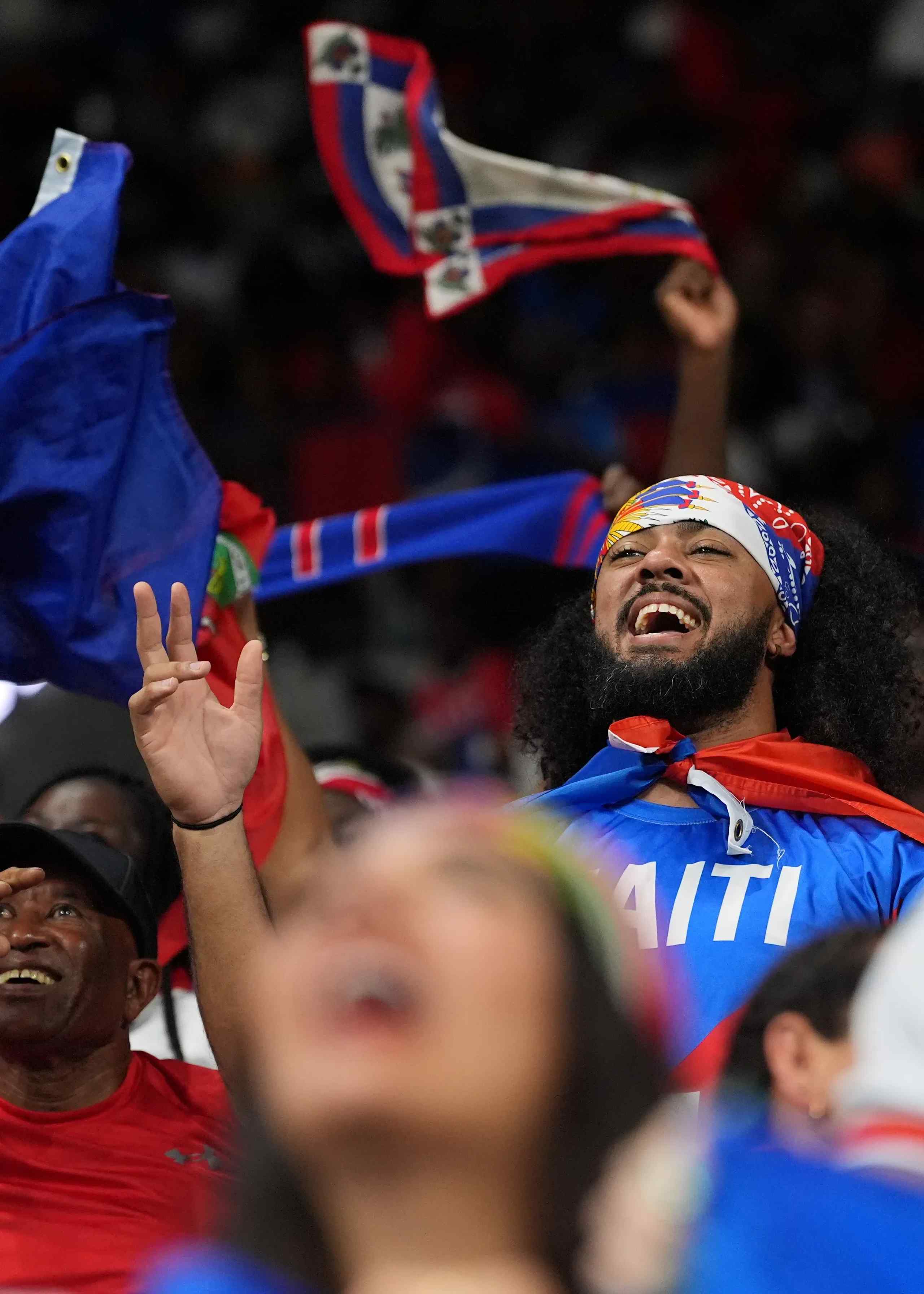 Haiti fan at the World Cup